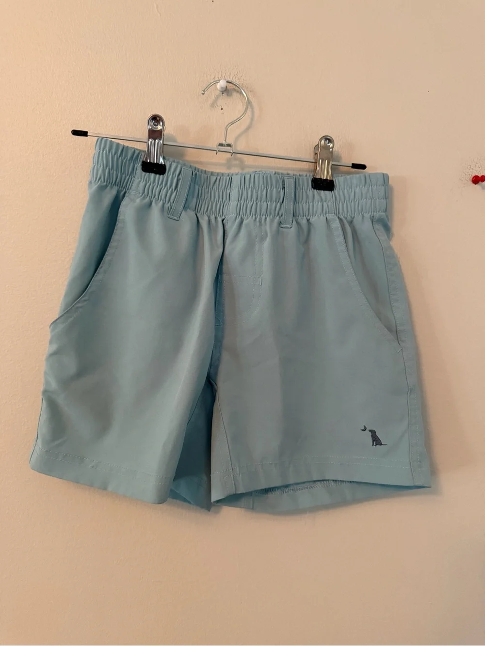 Local Boy Light Blue Shorts